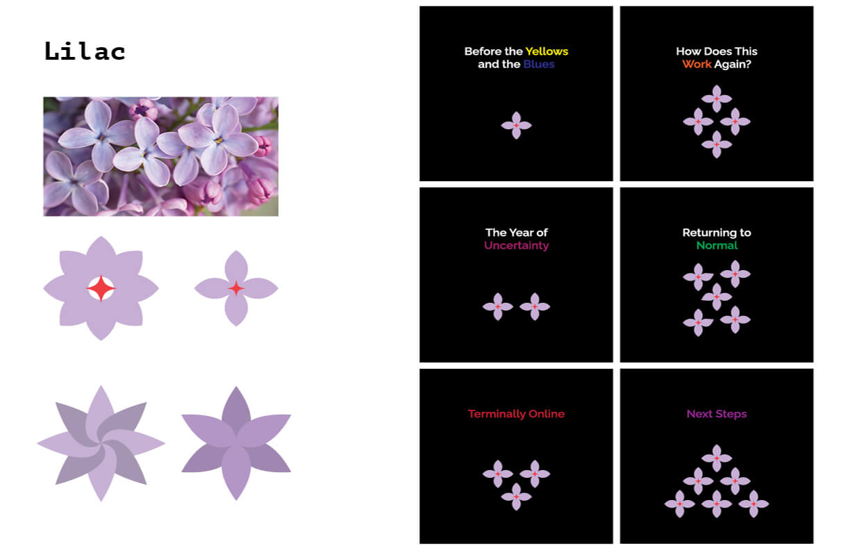 Flower Process 1