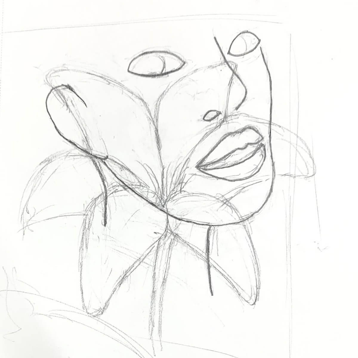 Face Outline Sketch