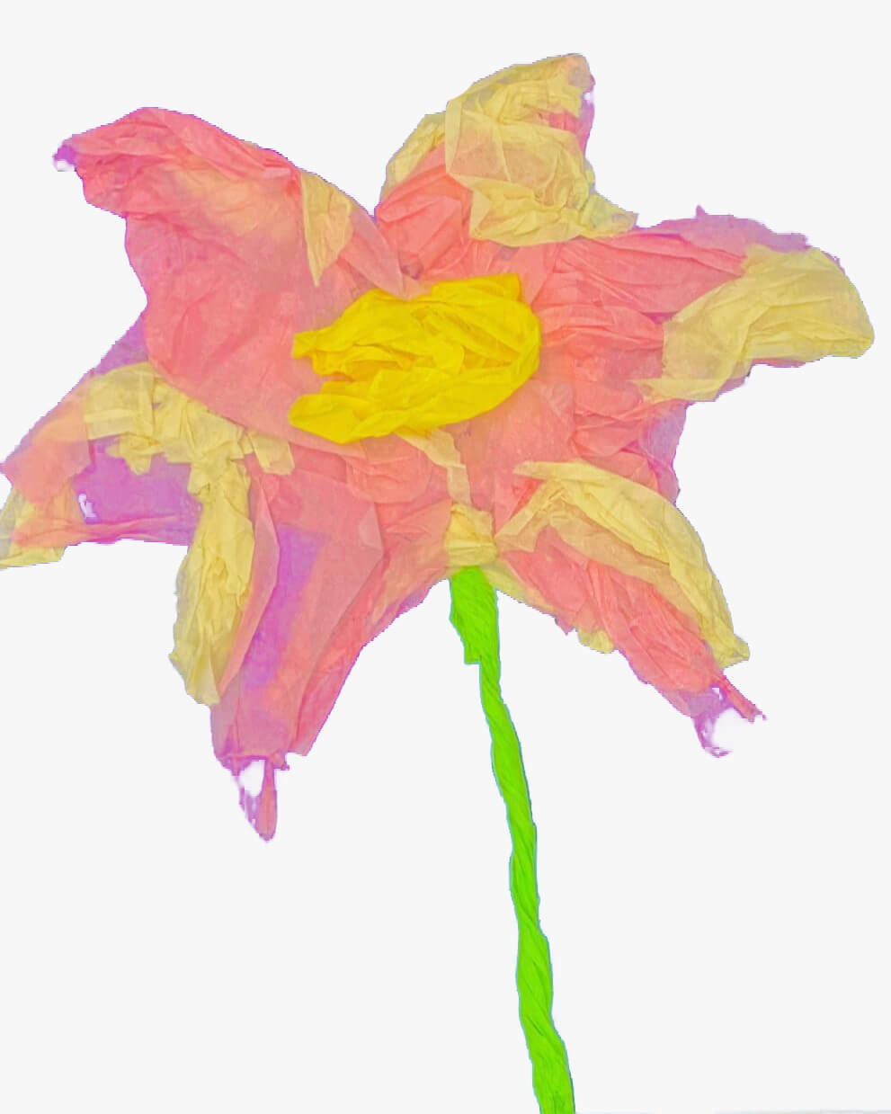 Tissue Paper Flower